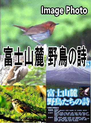 富士山,野鳥,野生の王国,DVD