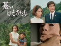 ̂,DVD
