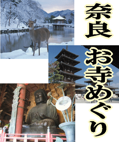 奈良のお寺巡りDVD